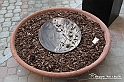 VBS_7765 - Mostra della Ceramica di Castellamonte 2021